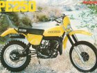 Suzuki PE 250